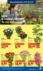 Najlepsze oferty tego tygodnia - Lidl