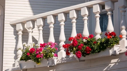 Najmniej wymagające kwiaty na balkon. Kwitną długo i nie sprawiają kłopotów