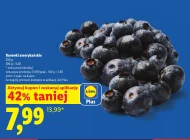 Чорниця Plus-Plus