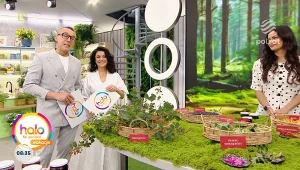 Co zbierać w lesie w lipcu? Te grzyby i owoce zaskakują właściwościami