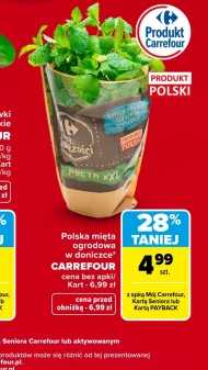 М'ята Carrefour