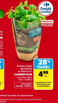 М'ята Carrefour