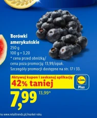 Borówki amerykańskie