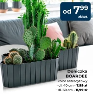 Doniczka