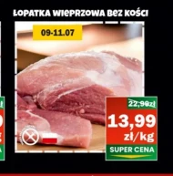 Безкісткова лопатка