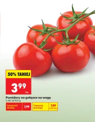Pomidory