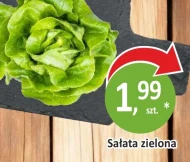Sałata