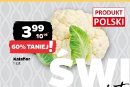 Kalafior Polski