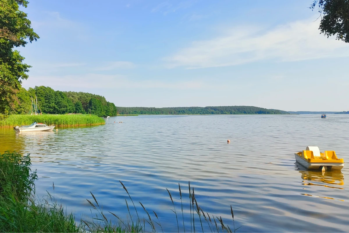 Jezioro otoczone zielonym lasem, przy brzegu żółty rower wodny i mała łódź przy trzcinach.