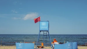 Sinice wróciły nad Bałtyk. Te popularne kąpieliska są zamknięte