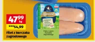 Filet z kurczaka