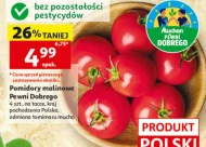 Pomidory Pewni Dobrego