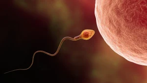 Zanieczyszczenie powietrza może zmieniać sposób działania genów w plemnikach