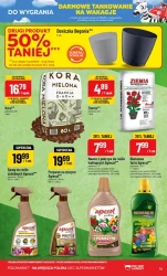 Wielka loteria i hity cenowe - POLOmarket