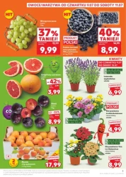 Będzie pysznie! - Kaufland