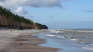 Sarbinowo słynie z pięknych plaż 