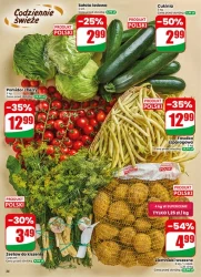 Letnie ceny na co dzień - Dino