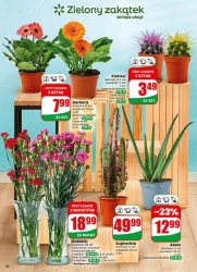 Letnie ceny na co dzień - Dino