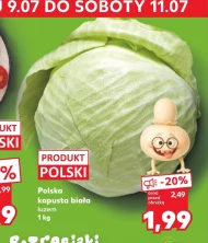 Kapusta biała Polski