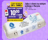 Яйця Marysia