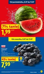 Letnie hity cenowe - Lidl