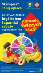 Letnie hity cenowe - Lidl