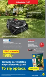 Letnie hity cenowe - Lidl