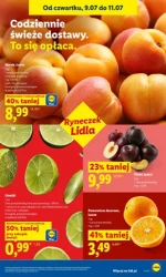Letnie hity cenowe - Lidl