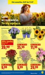 Letnie hity cenowe - Lidl