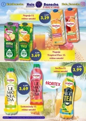Wyjątkowy smak wakacji - Hale Banacha