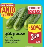Ogórki Polski