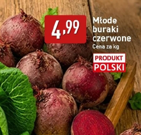 Буряк молодая Polski