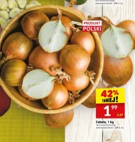 Cebula Polski