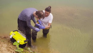 Archeolodzy odkryli 3000 zabytków w dolinie rzeki. Prawdziwa skarbnica