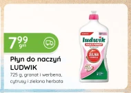 Płyn do naczyń Ludwik