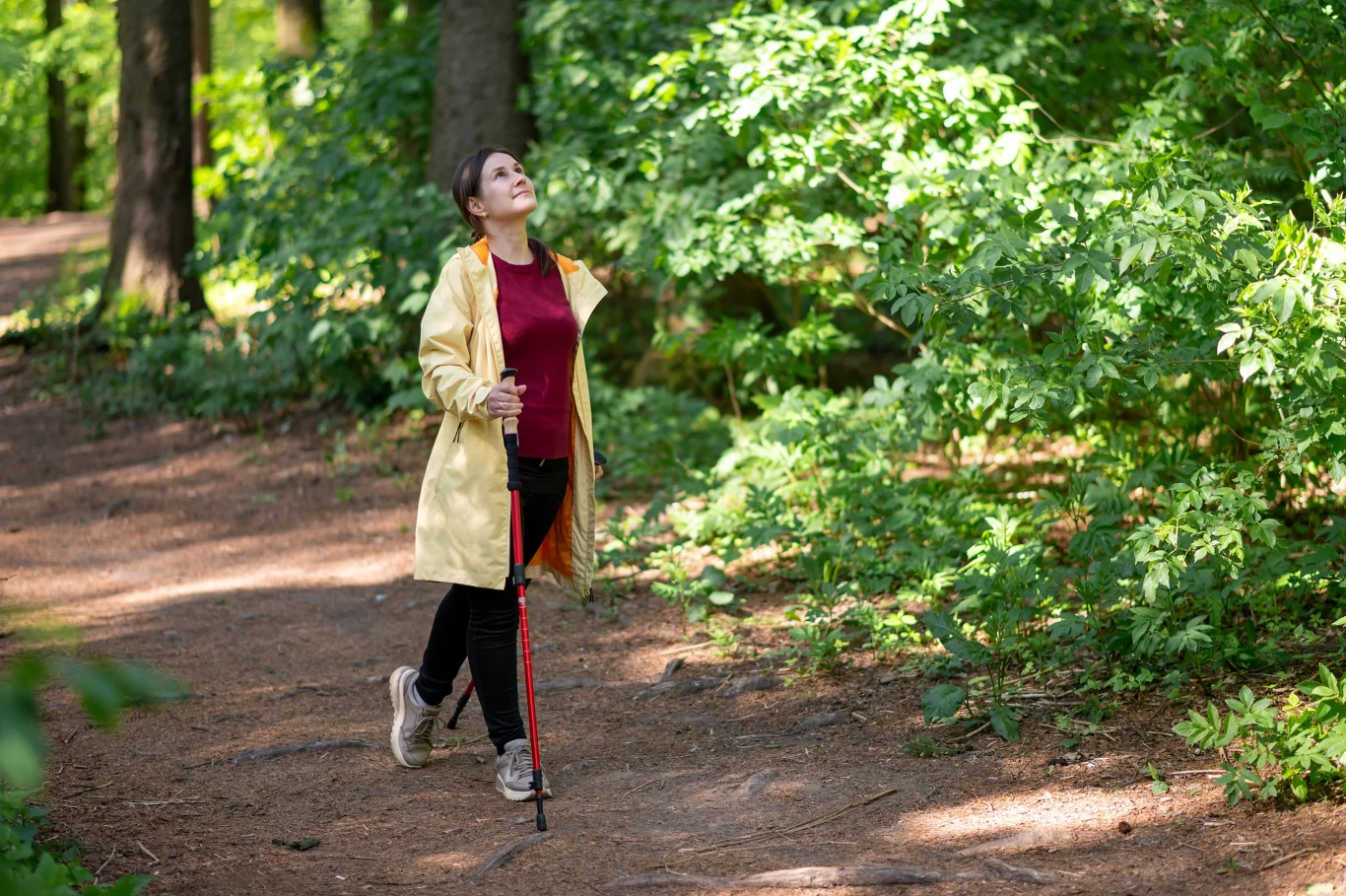 Staycation. Na czym polega ten sposób spędzania urlopu? Kobieta w żółtej kurtce spaceruje z kijkami nordic walking po leśnej ścieżce otoczonej zielenią.