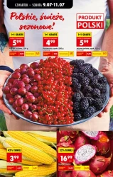 Czas na wielkie oszczędności – Biedronka