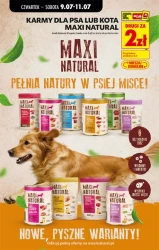 Czas na wielkie oszczędności – Biedronka