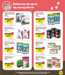 Oferta specjalna - Kakadu