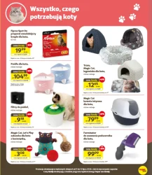 Oferta specjalna - Kakadu