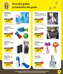 Oferta specjalna - Kakadu