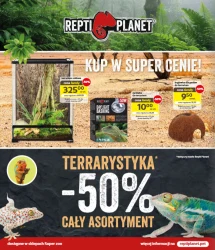 Oferta specjalna - Kakadu