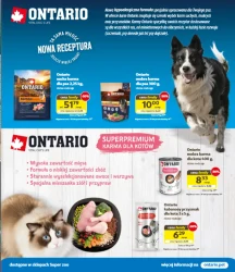 Oferta specjalna - Kakadu