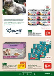 Wakacyjne promocje dla pupili – Maxi ZOO