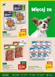 Wakacyjne promocje dla pupili – Maxi ZOO