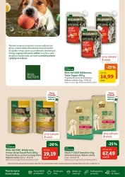 Wakacyjne promocje dla pupili – Maxi ZOO