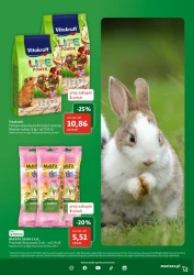 Wakacyjne promocje dla pupili – Maxi ZOO