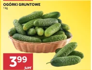 Ogórki