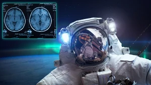 Ewolucja przystosowała mózg do ziemskiej grawitacji. Co się zmienia w kosmosie?