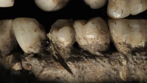 Brutalny atak sprzed ponad 90 tys. lat. Naukowcy odkryli ślady na kościach Homo sapiens